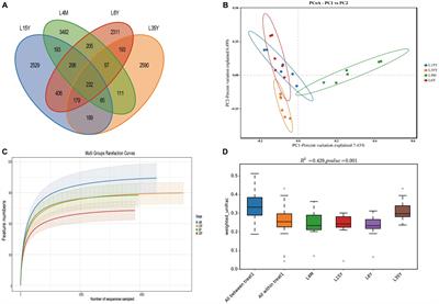 Multi-omics revealed rumen microbiota metabolism and host immune regulation in Tibetan sheep of different ages